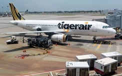 TigerAir Australia bị cấm, hàng trăm du khách mắc kẹt